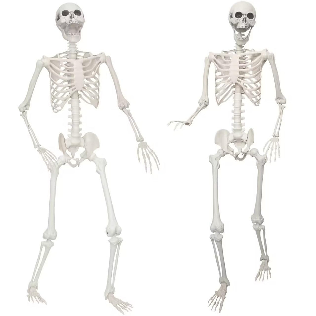 2 Pack 5.4ft Life Size Skeleton with Movable Joints Y3685