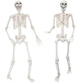 2 Pack 5.4ft Life Size Skeleton with Movable Joints Y3685