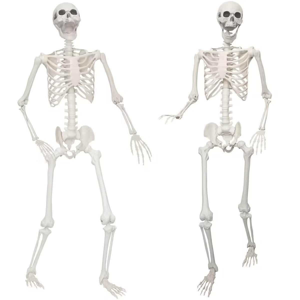 2 Pack 5.4ft Life Size Skeleton with Movable Joints Y3685