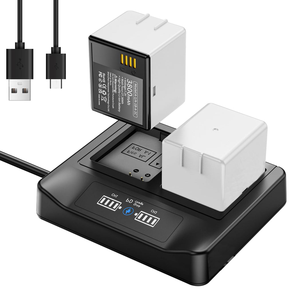 2-Pack Rechargeable Batteries with LCD Dual Charger Q49896