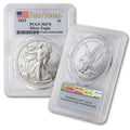1 oz American Silver Eagle Coin MS-70 C4763