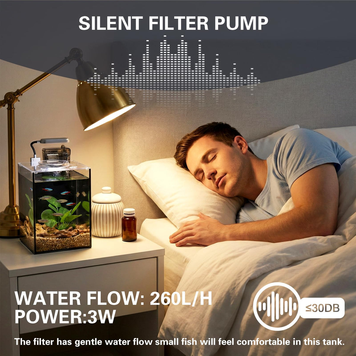 2.2 Gallon Glass Aquarium Set I138