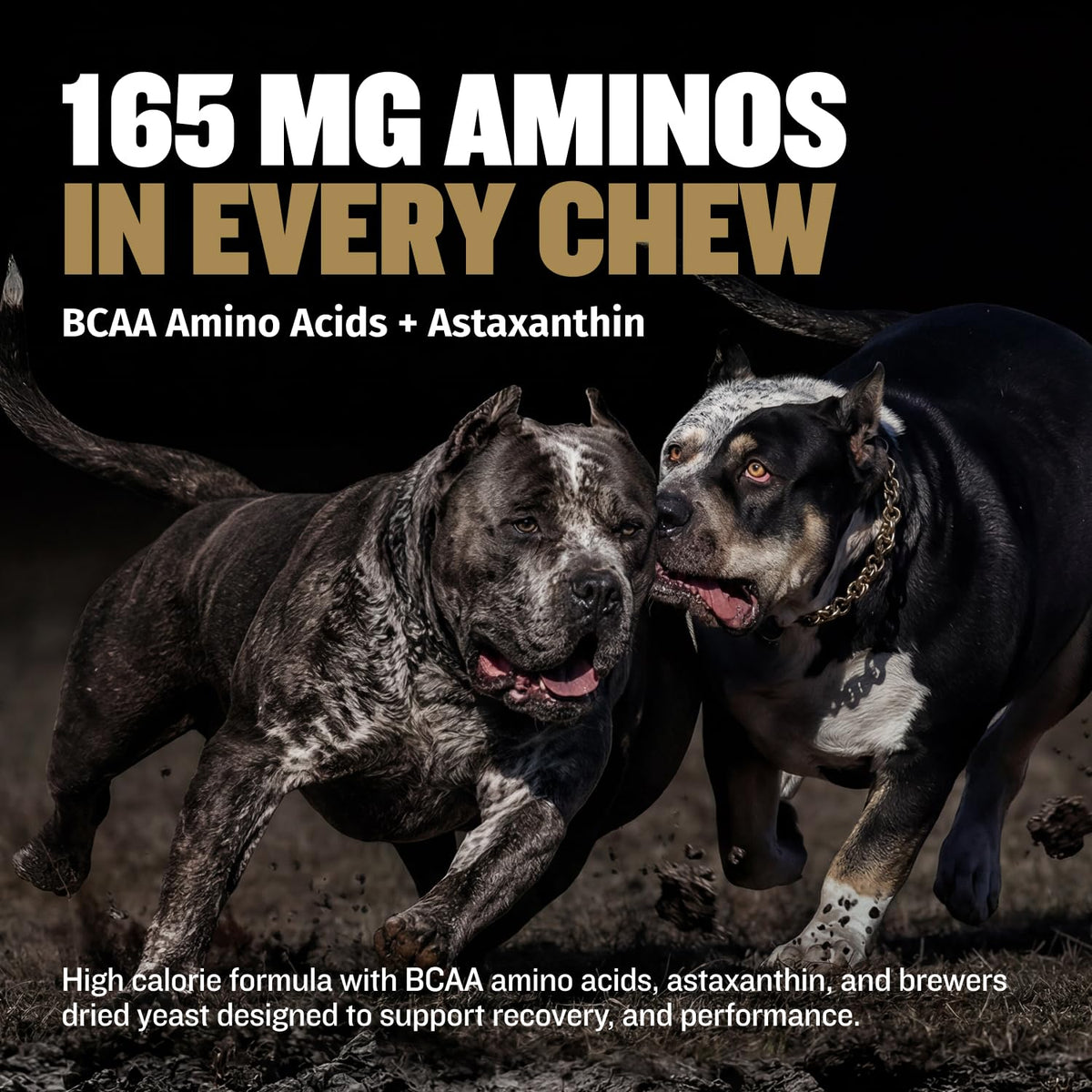 11-in-1 Dog Muscle Builder Power Chews - High Protein Supplement with Amino Acids - 75 Soft Chews O694957