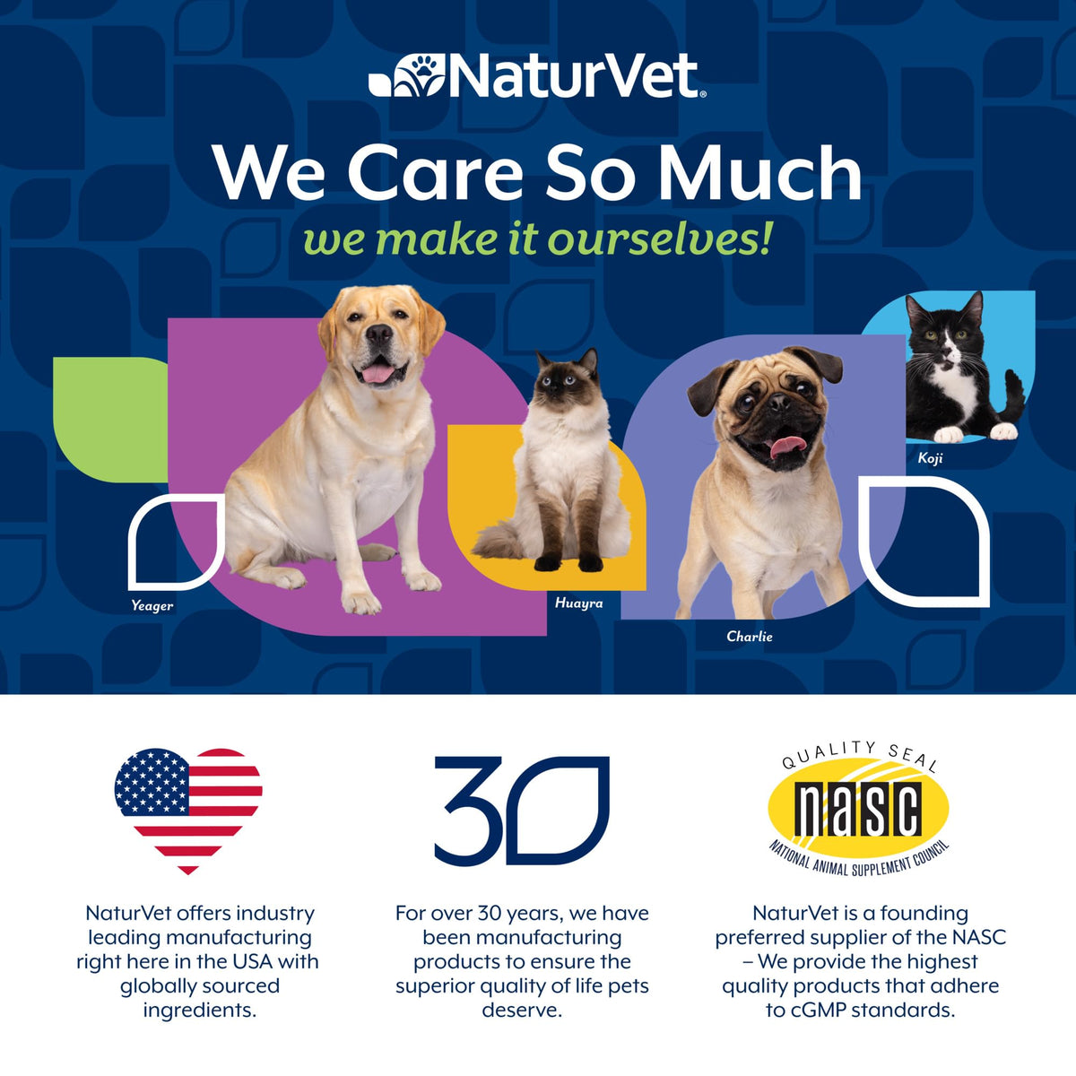 40 Soft Chews Dog Supplement W386750