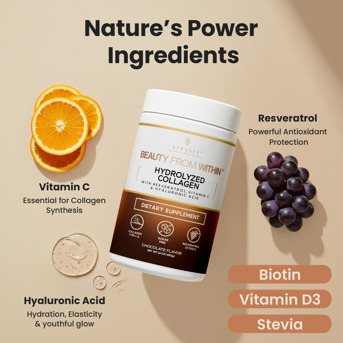 Hydrolyzed Collagen Peptide Powder Drink Chocolate Flavored 16oz V636