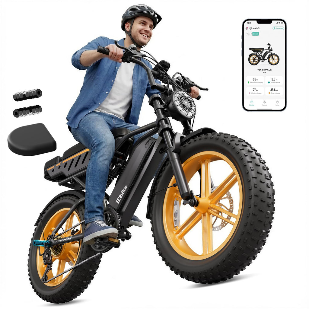 Electric Bike 48V Removable Battery E76727