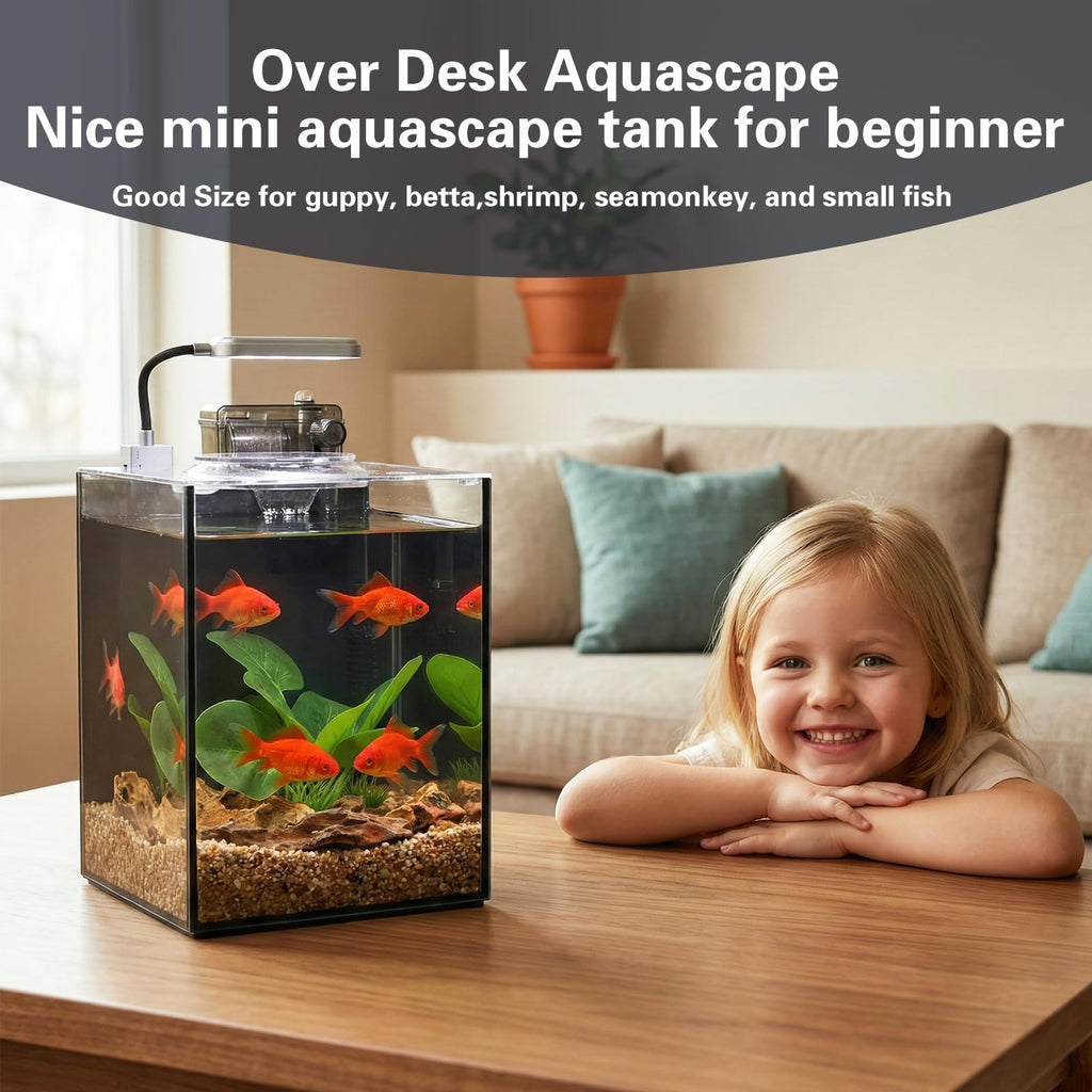 2.2 Gallon Glass Aquarium Set I138