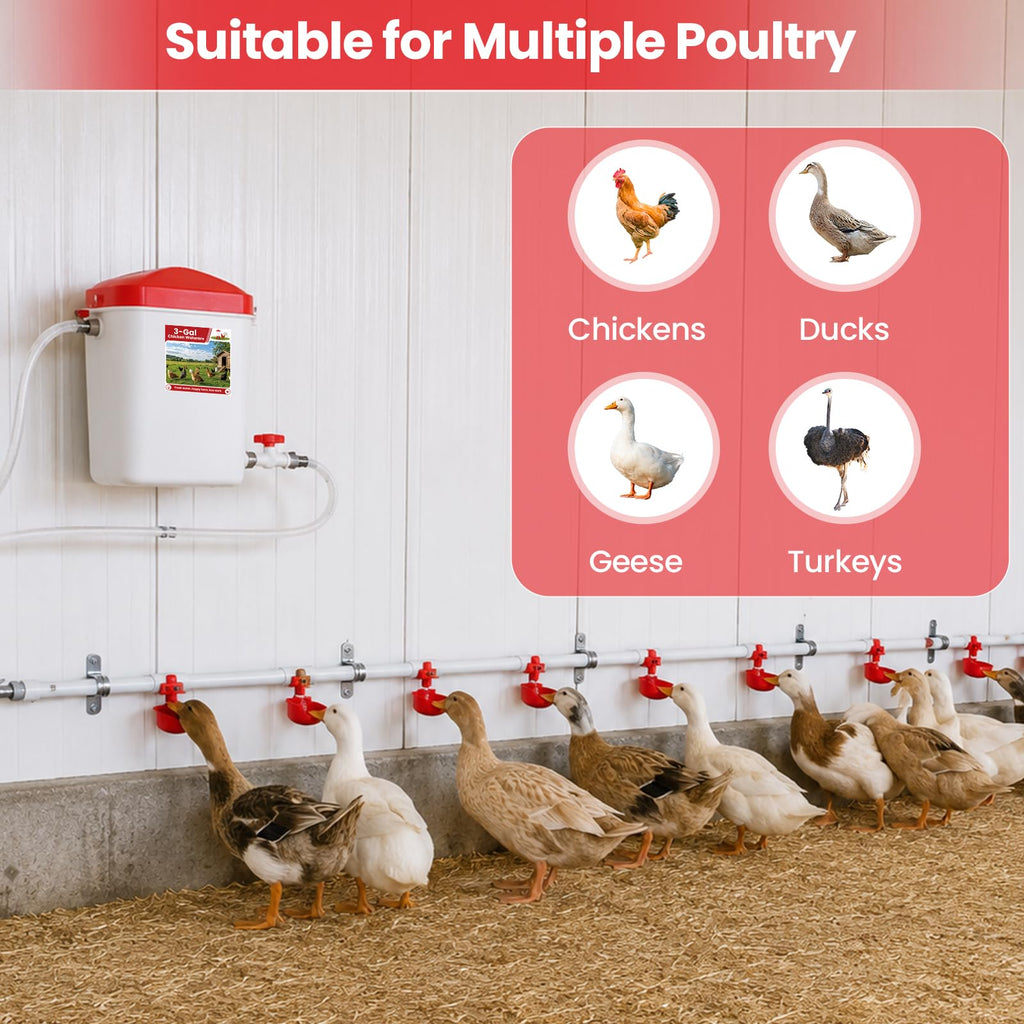 Automatic Chicken Waterer System with 8 Drinking Cups Q97036