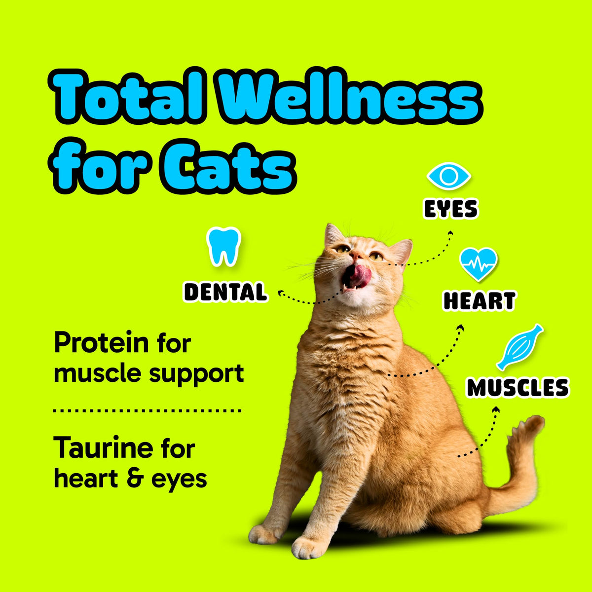Cat Dental Chew Stick Bites Supplement with Taurine R9075