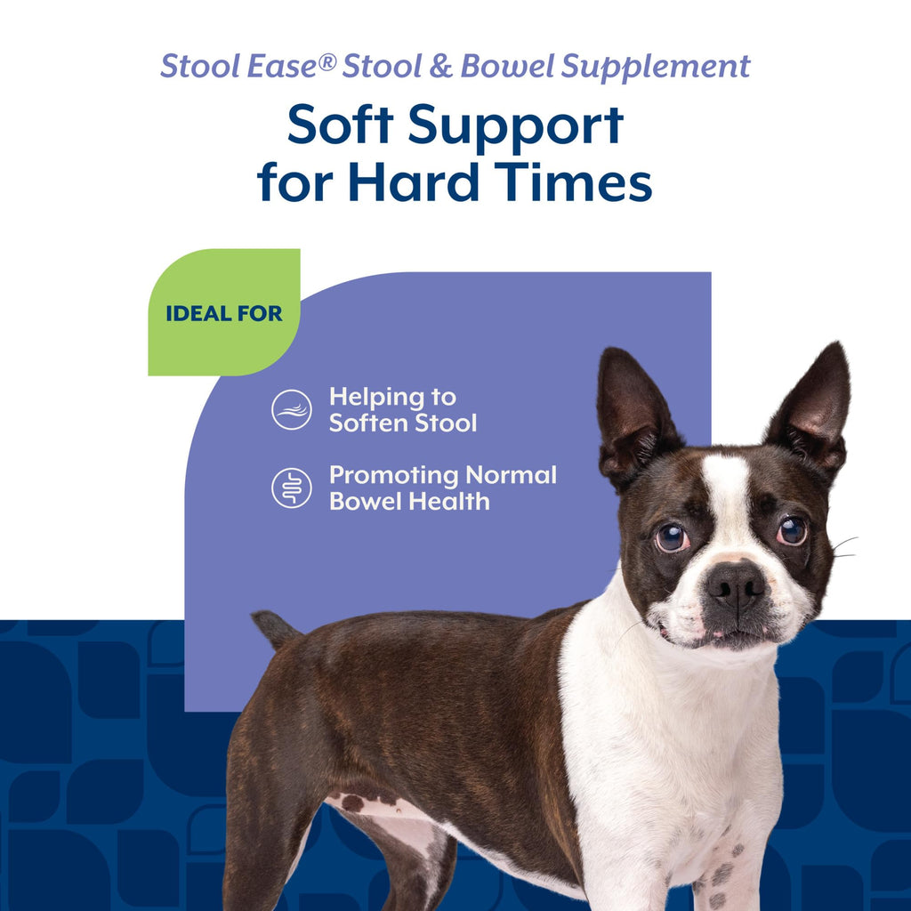 40 Soft Chews Dog Supplement W386750