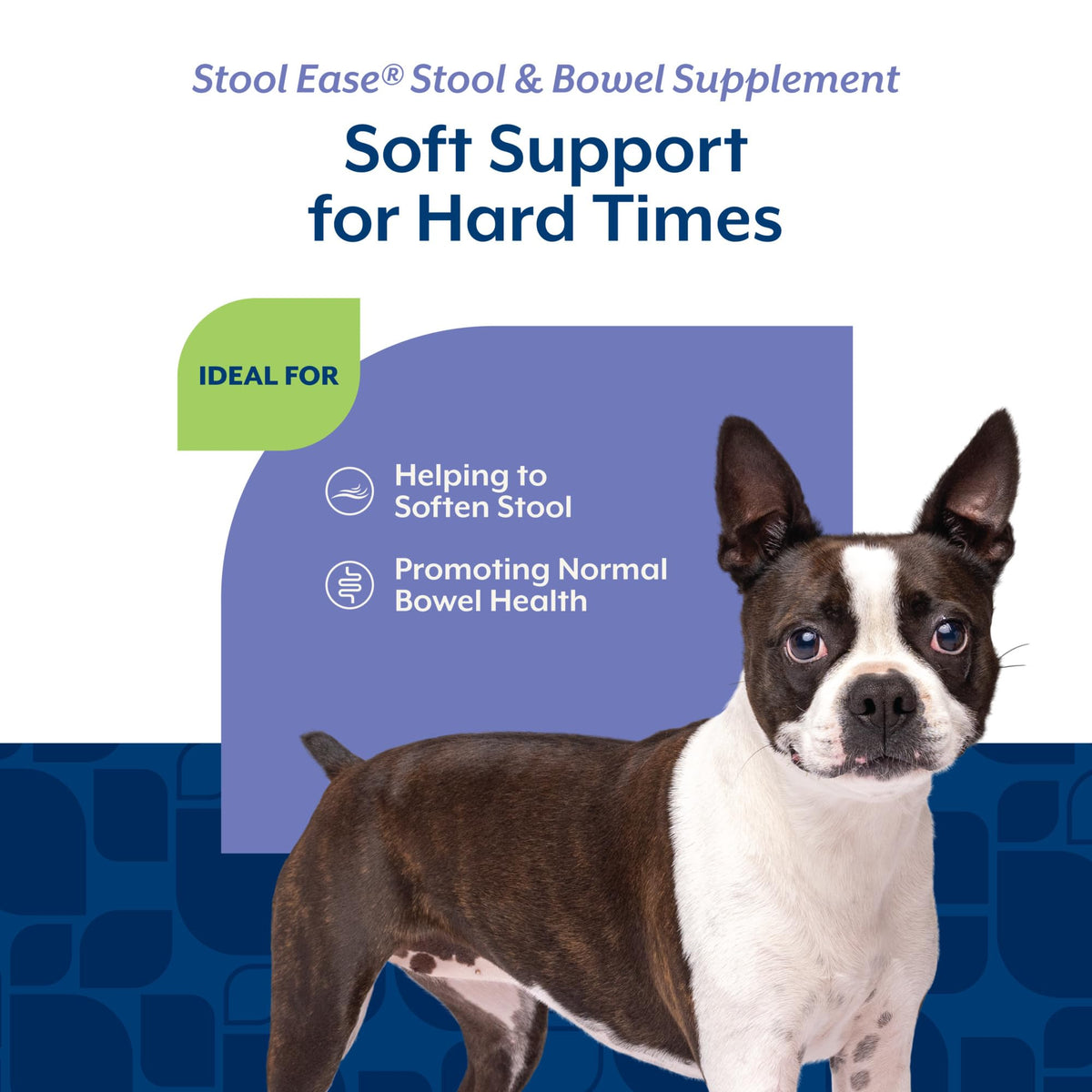 40 Soft Chews Dog Supplement W386750