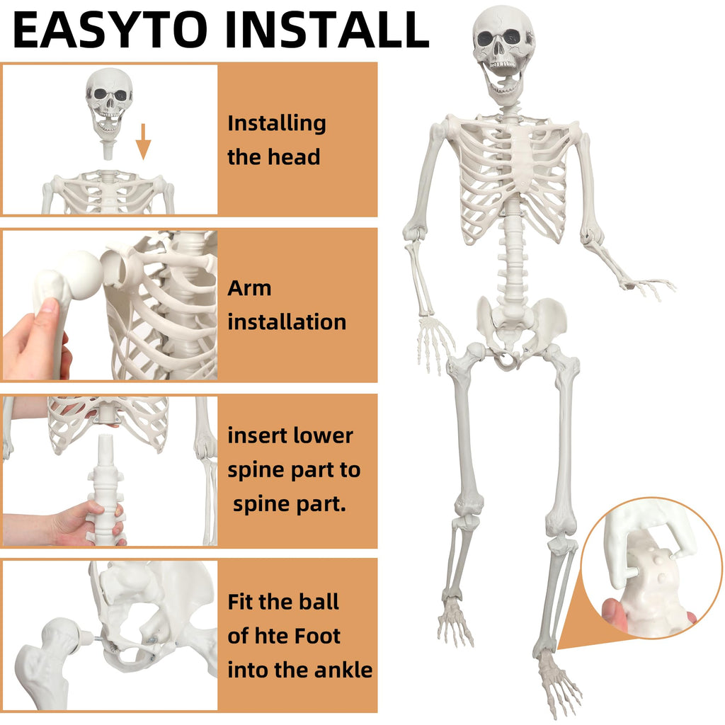 2 Pack 5.4ft Life Size Skeleton with Movable Joints Y3685