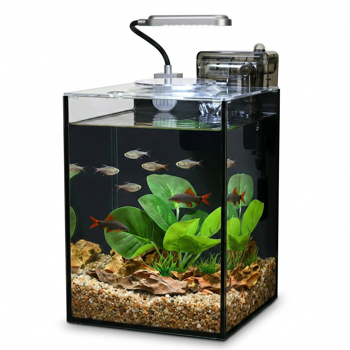 2.2 Gallon Glass Aquarium Set I138