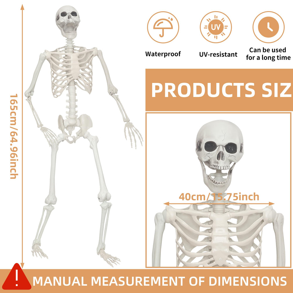 2 Pack 5.4ft Life Size Skeleton with Movable Joints Y3685