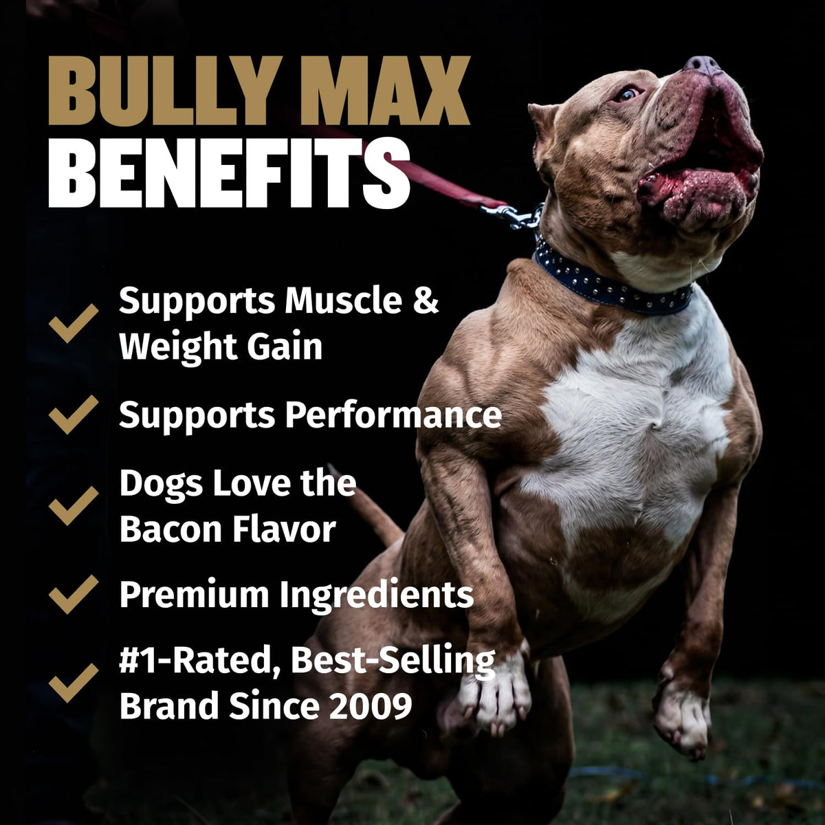 11-in-1 Dog Muscle Builder Power Chews - High Protein Supplement with Amino Acids - 75 Soft Chews O694957