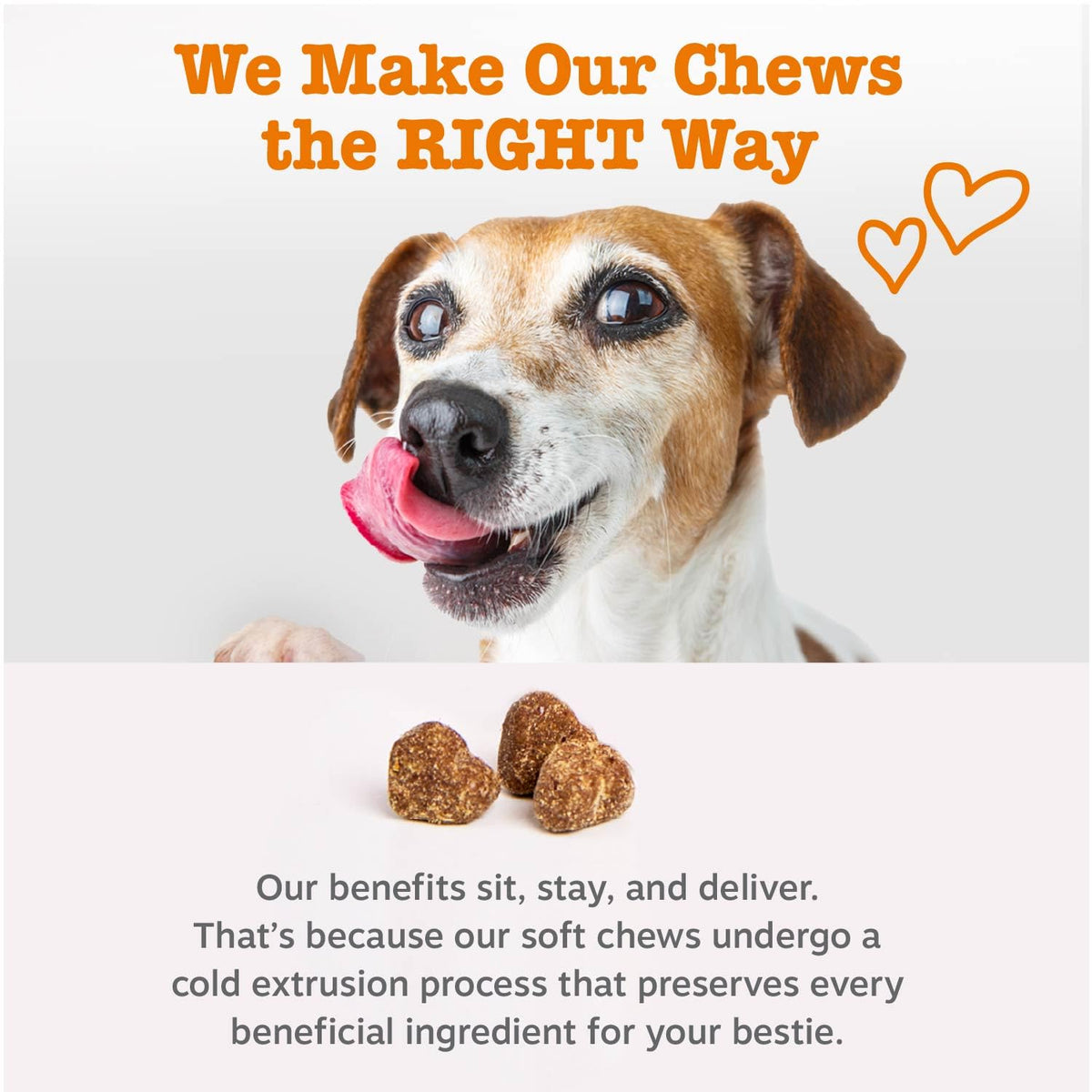 Dog Liver Supplement - Milk Thistle, Chicken, 90 Ct J781235