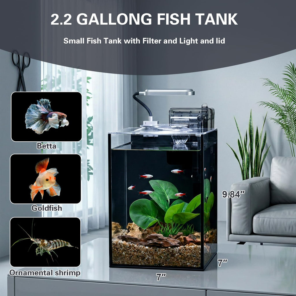 2.2 Gallon Glass Aquarium Set I138