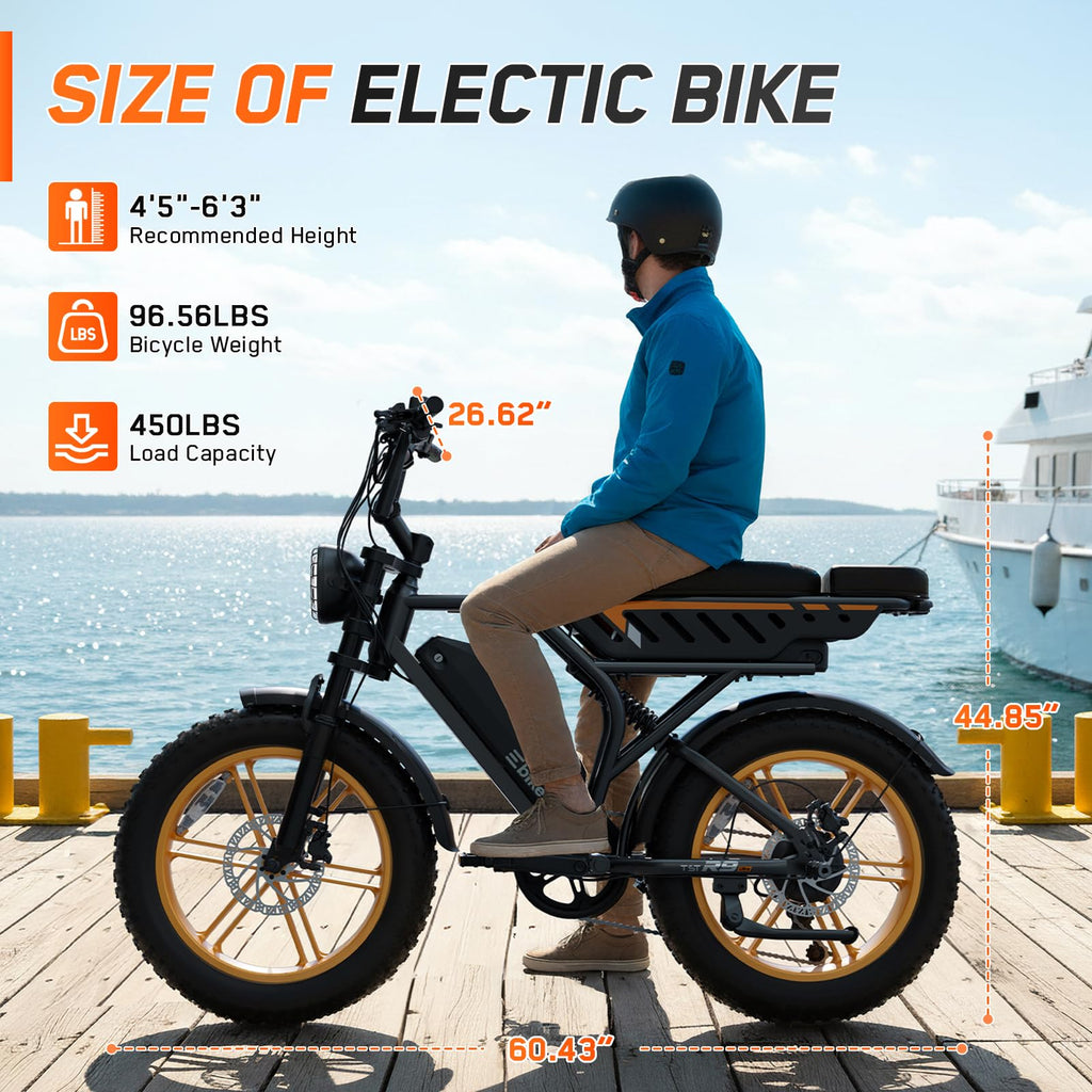Electric Bike 48V Removable Battery E76727