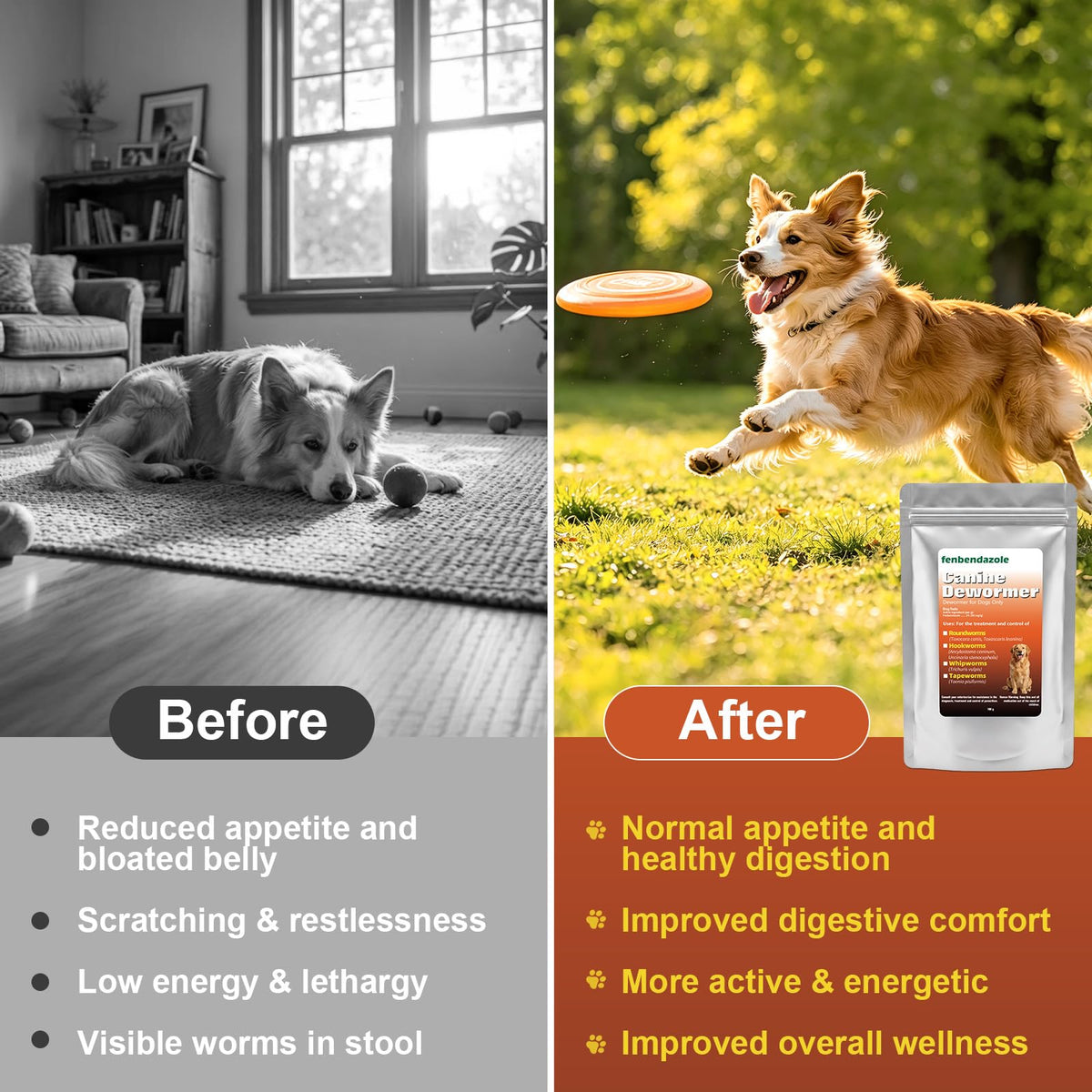 Dog Dewormer 100g B54982