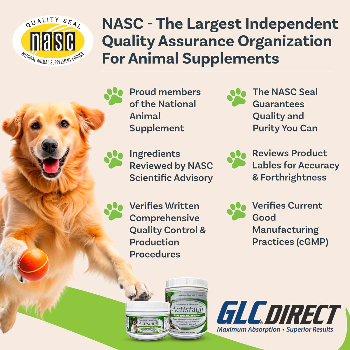Large Dog Soft Chews, 120ct Joint Supplement W879