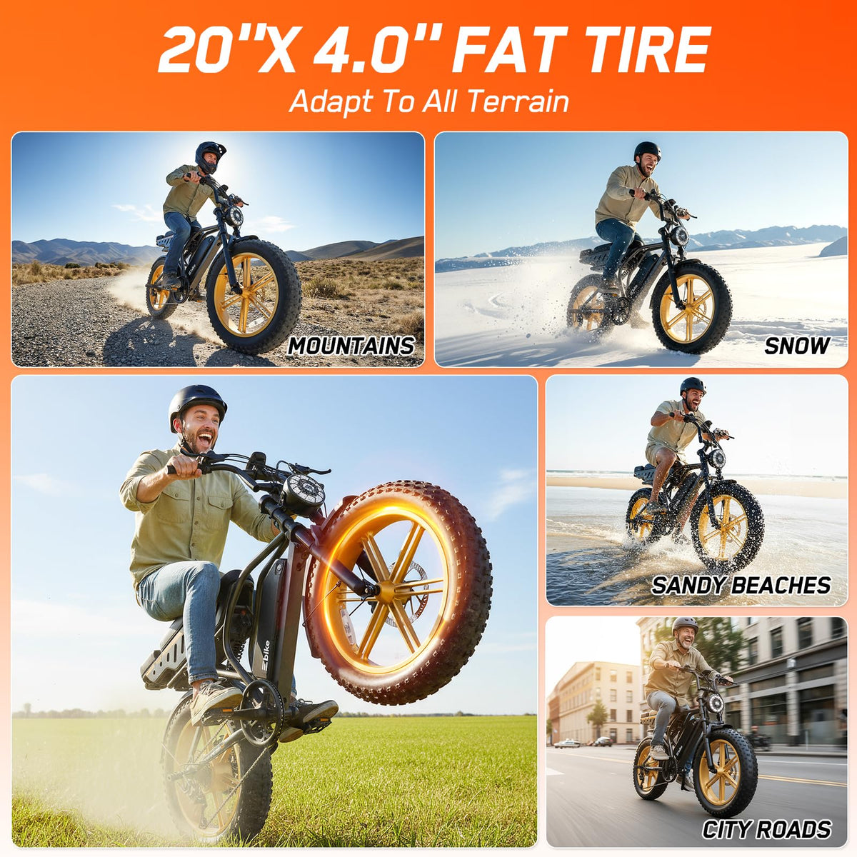 Electric Bike 48V Removable Battery E76727