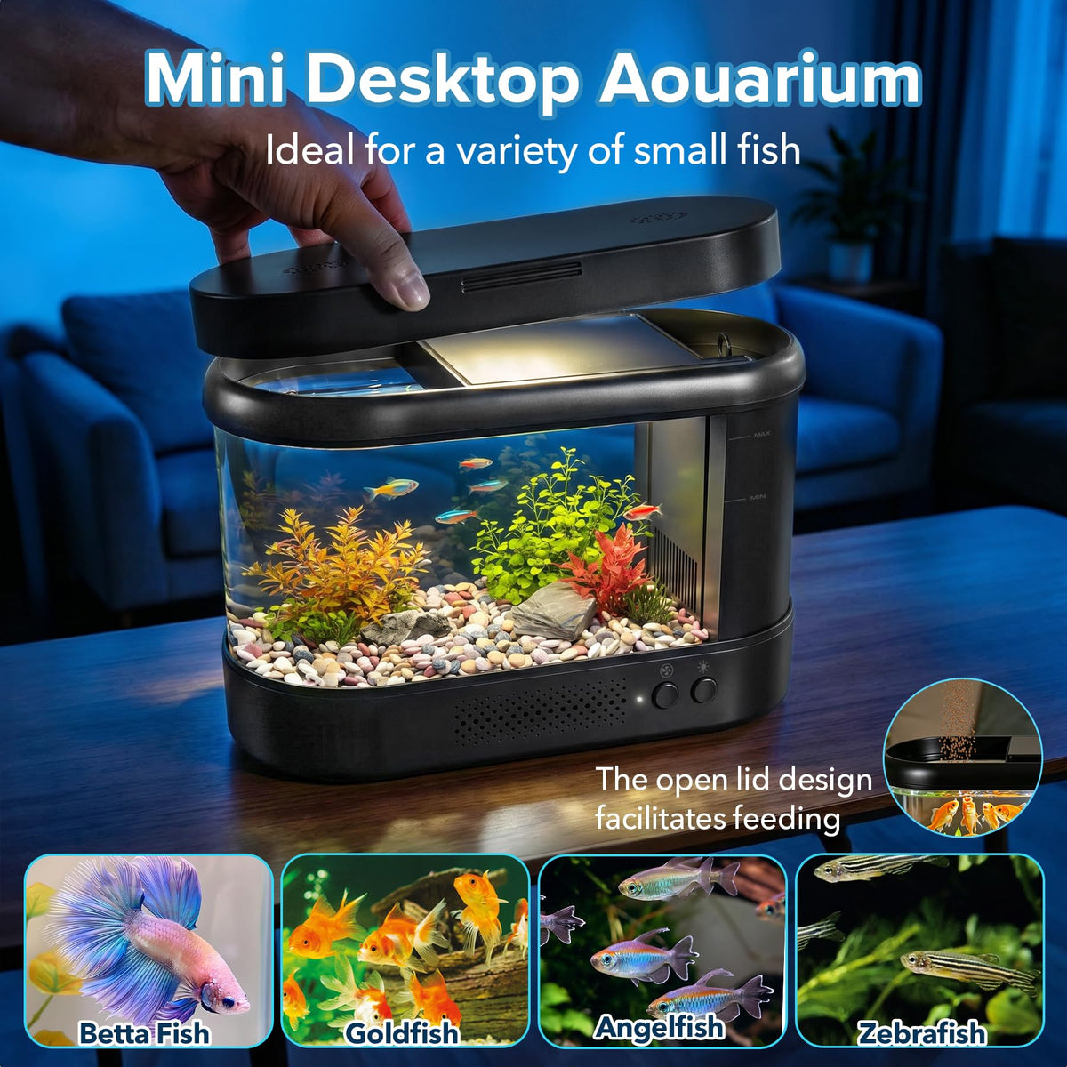 Black 1 Gallon Acrylic Aquarium Kit N604