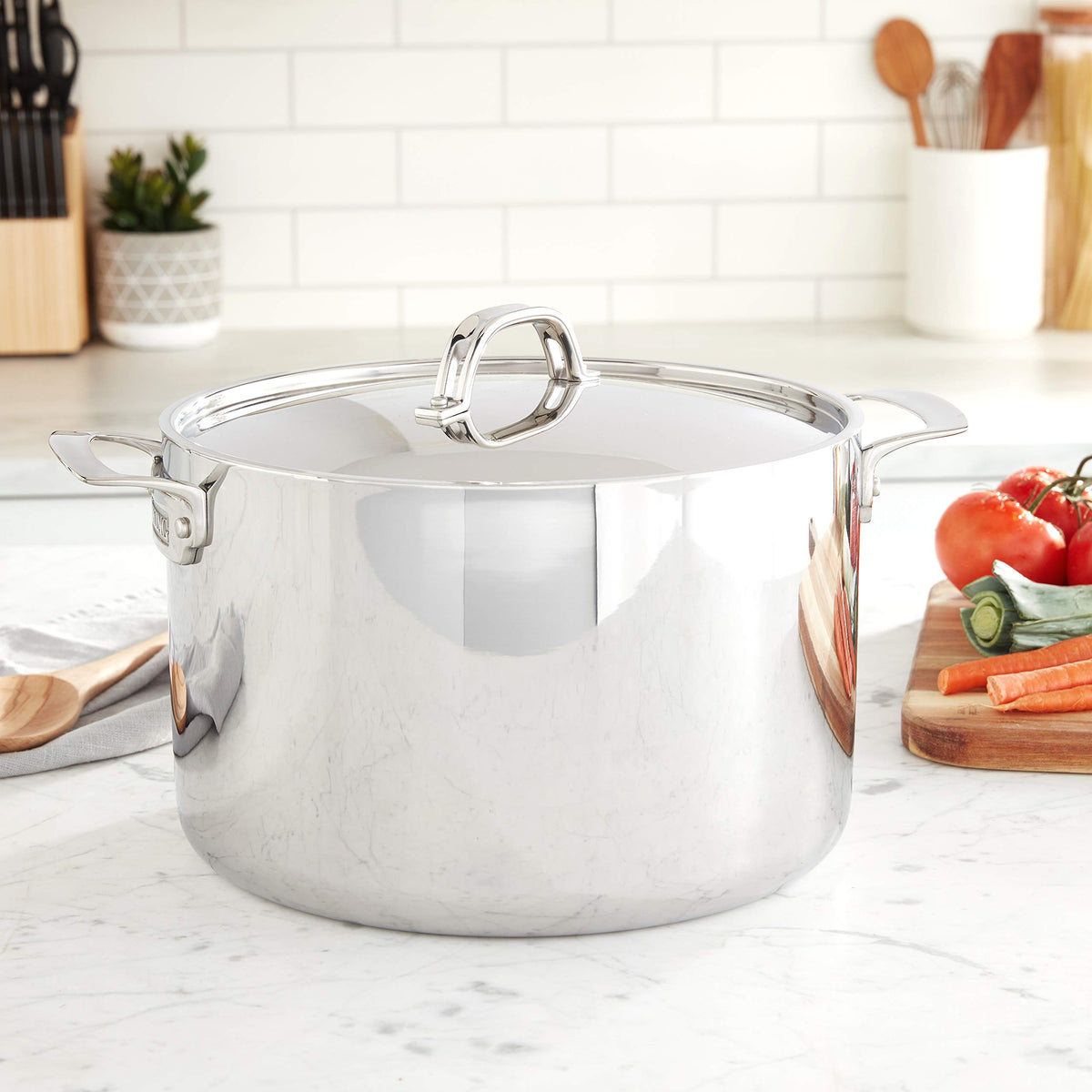 3-Ply Stainless Steel 12 Quart Stock Pot with Lid W52874