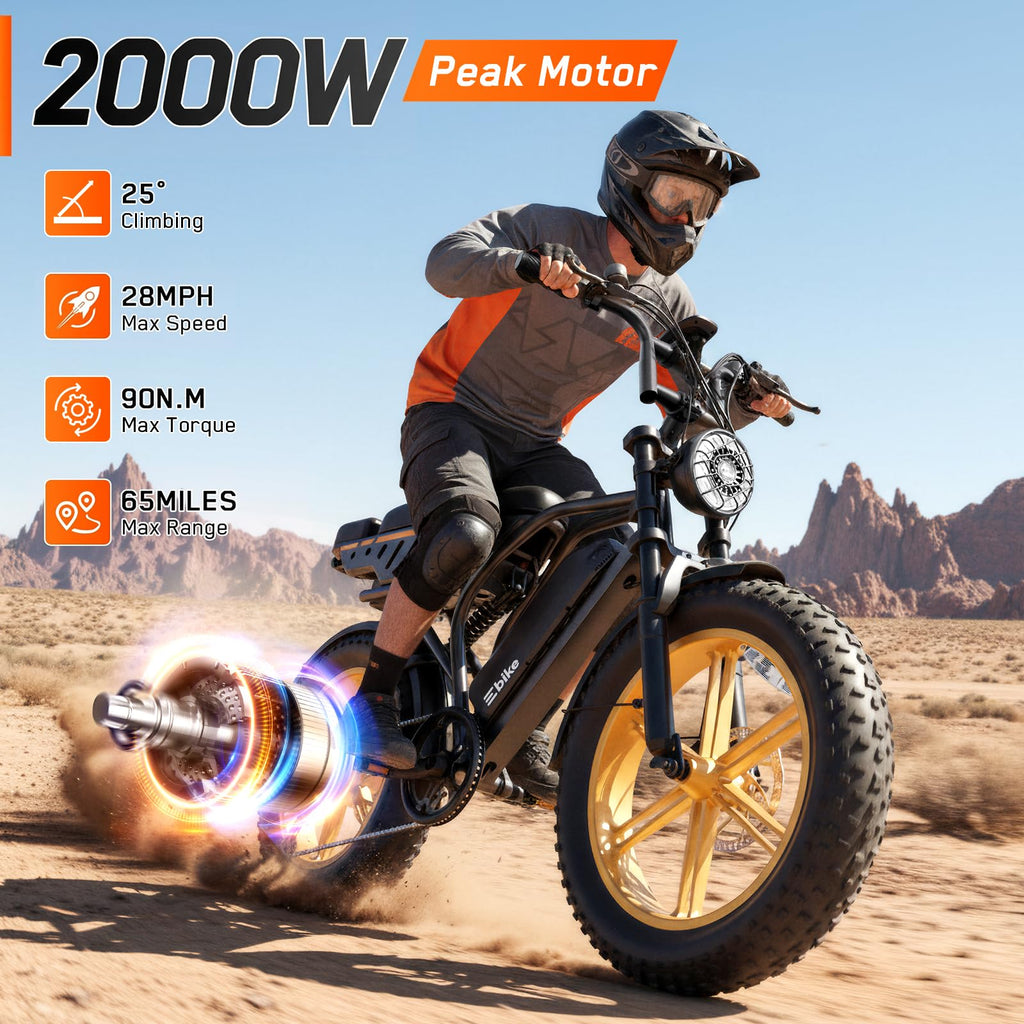 Electric Bike 48V Removable Battery E76727