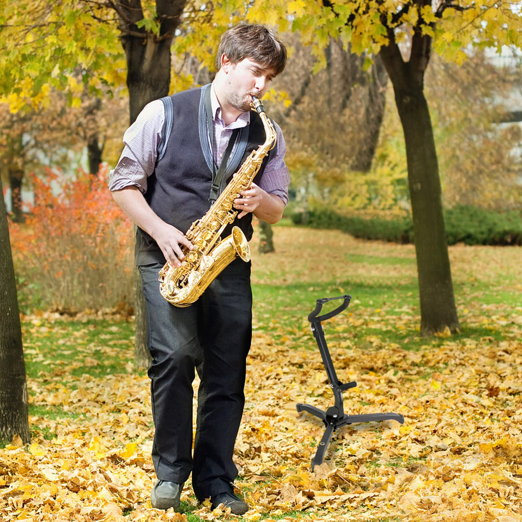 Alto & Tenor Saxophone Stand with 2 Flute/Clarinet Holders and Bag D4475