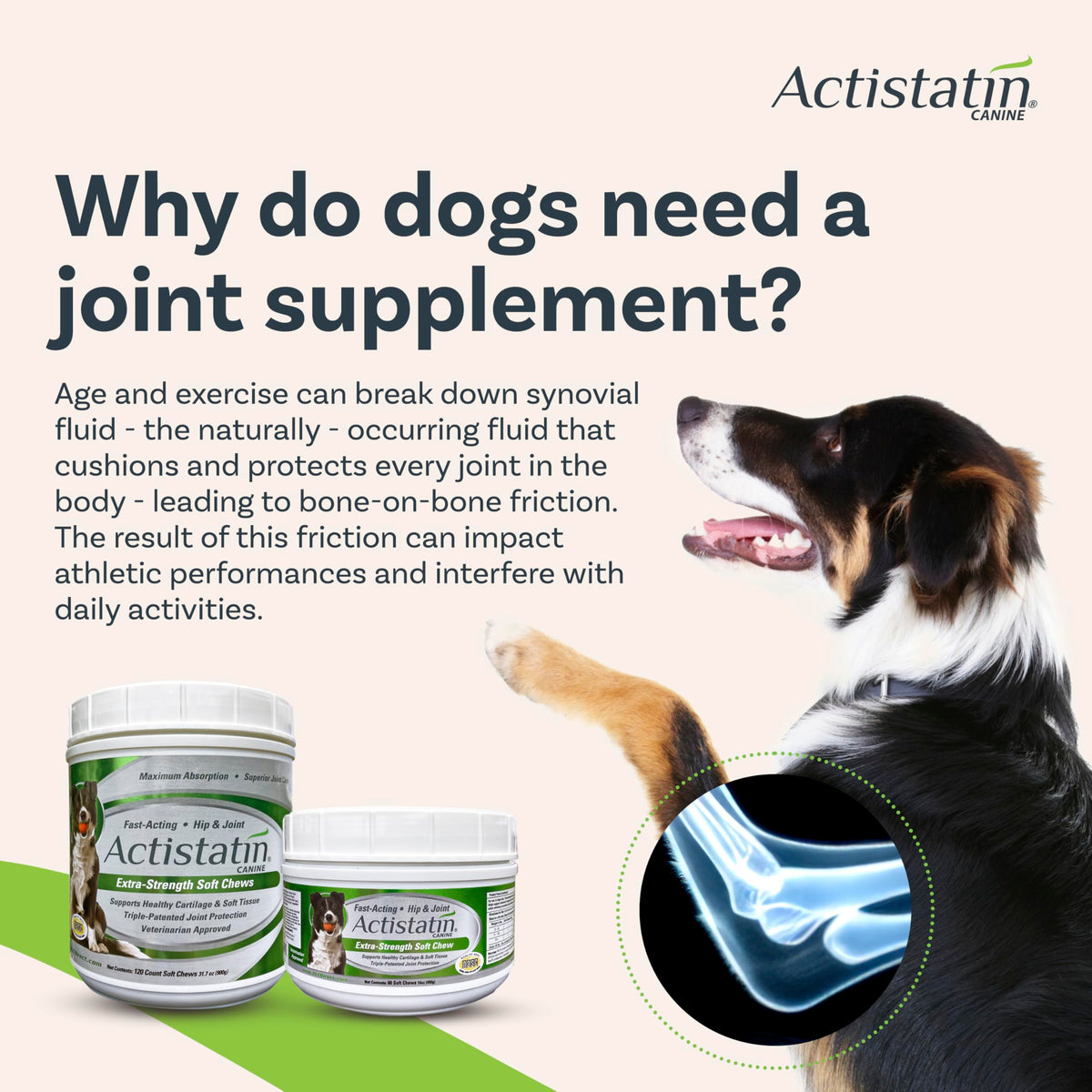 Large Dog Soft Chews, 120ct Joint Supplement W879