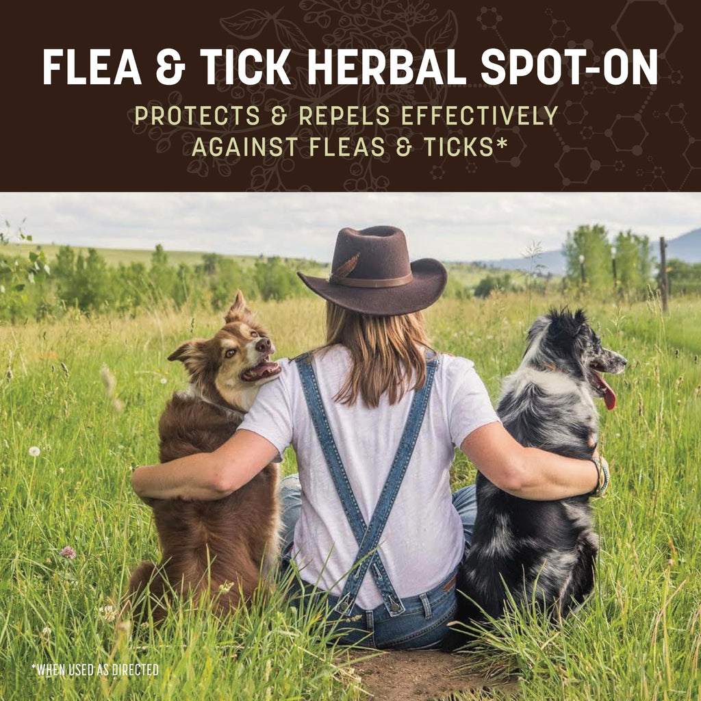 Herbal Spot-On for Medium Dogs M16032